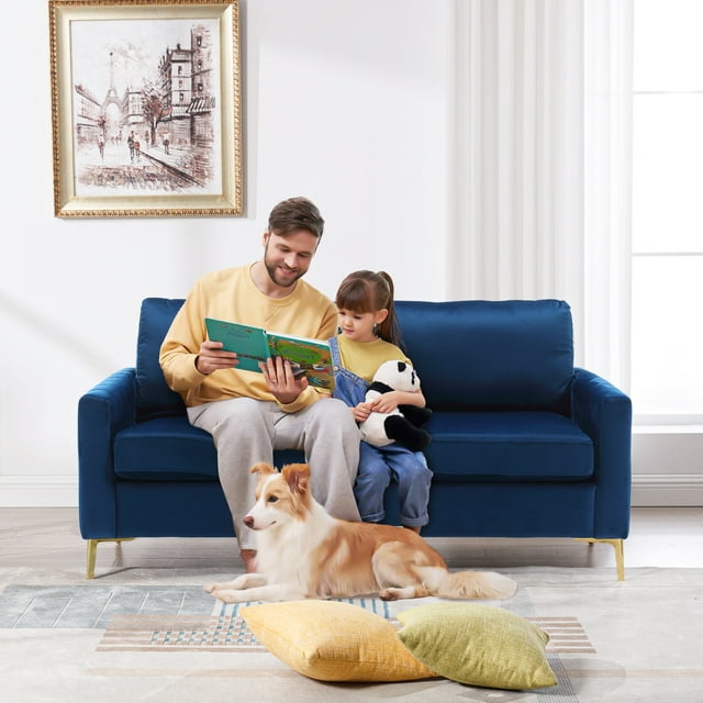 Muumblus Loveseat Sofa, 2 Seater Sofa for Small Space, Tufted Velvet Couch, Mid Century Modern Small Couches for Living Room, Bedroom